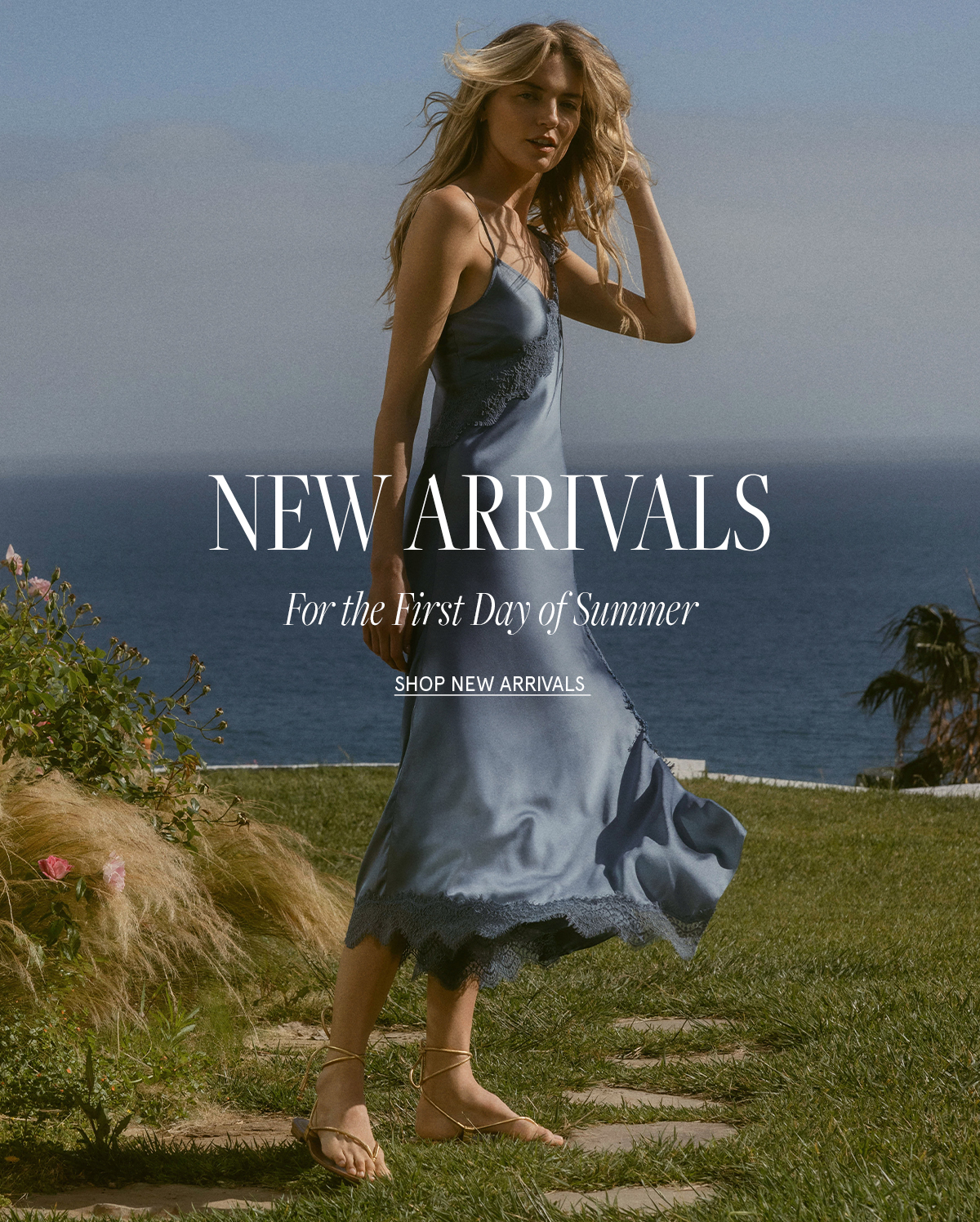New Arrivals