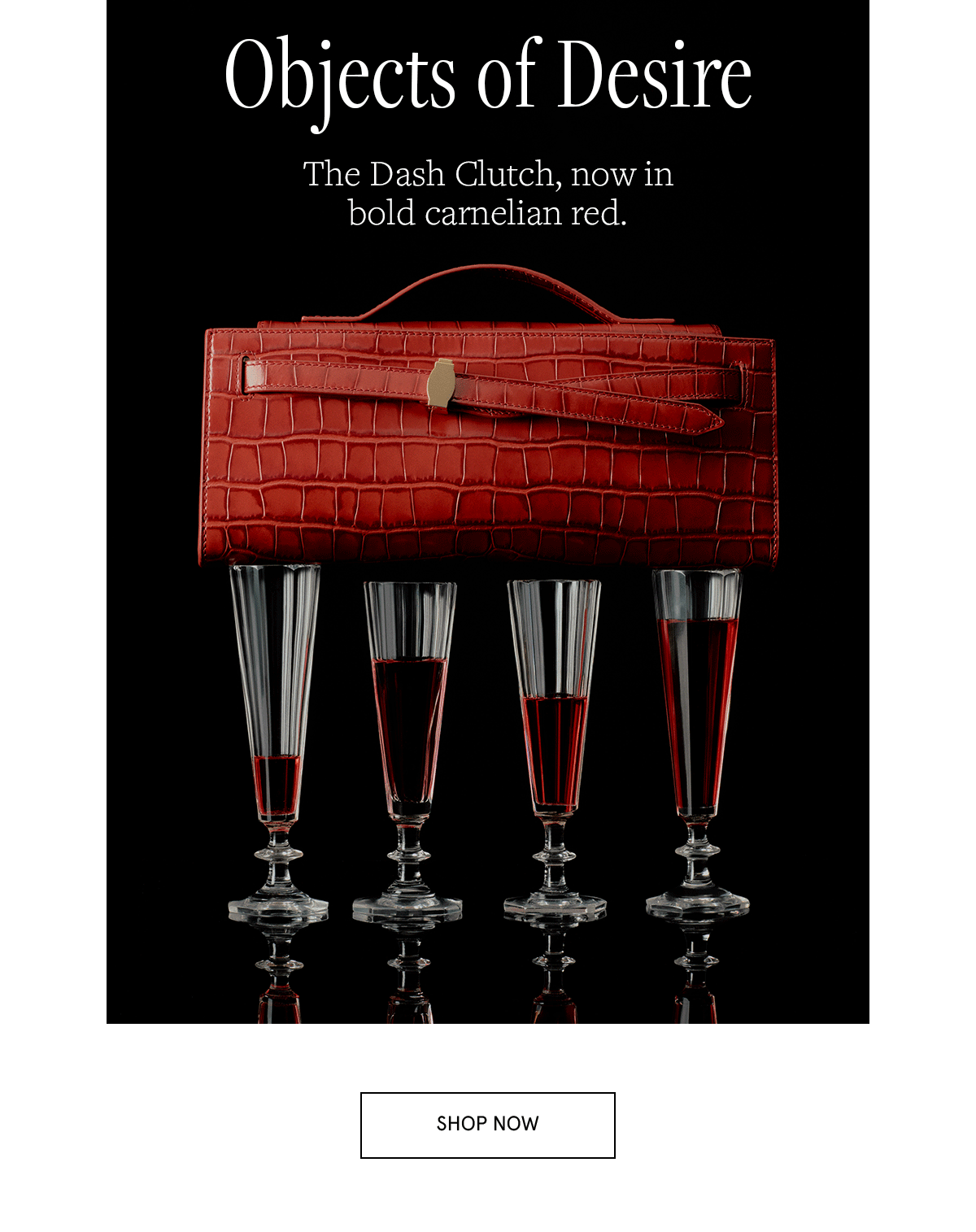 Veronica Beard Dash Clutch