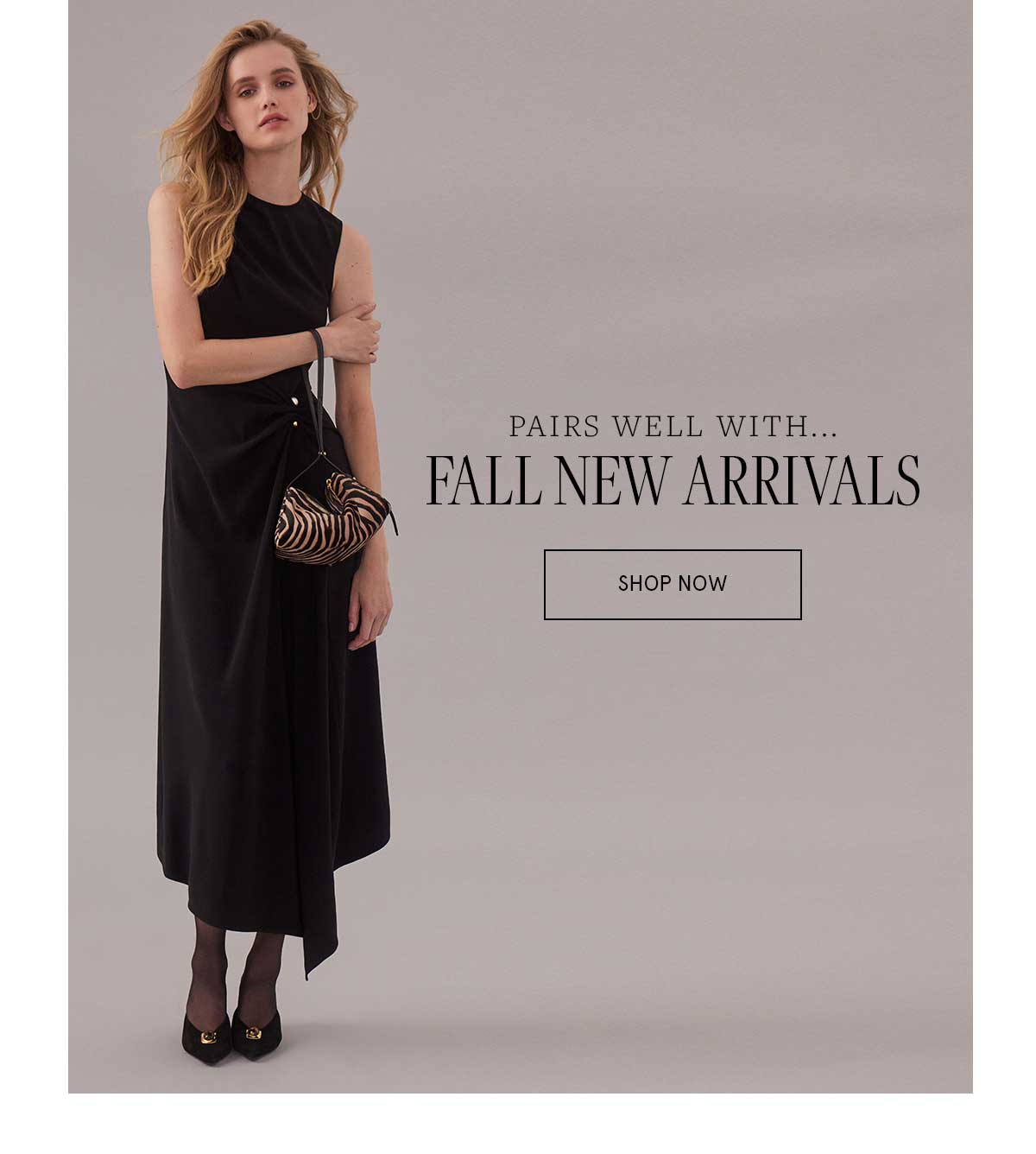 New Arrivals