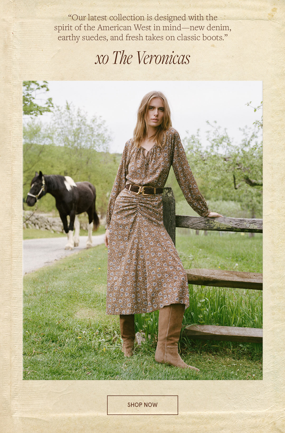 New Arrivals