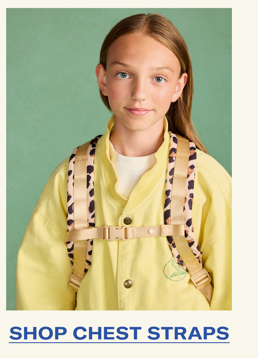 SHOP CHEST STRAPS
