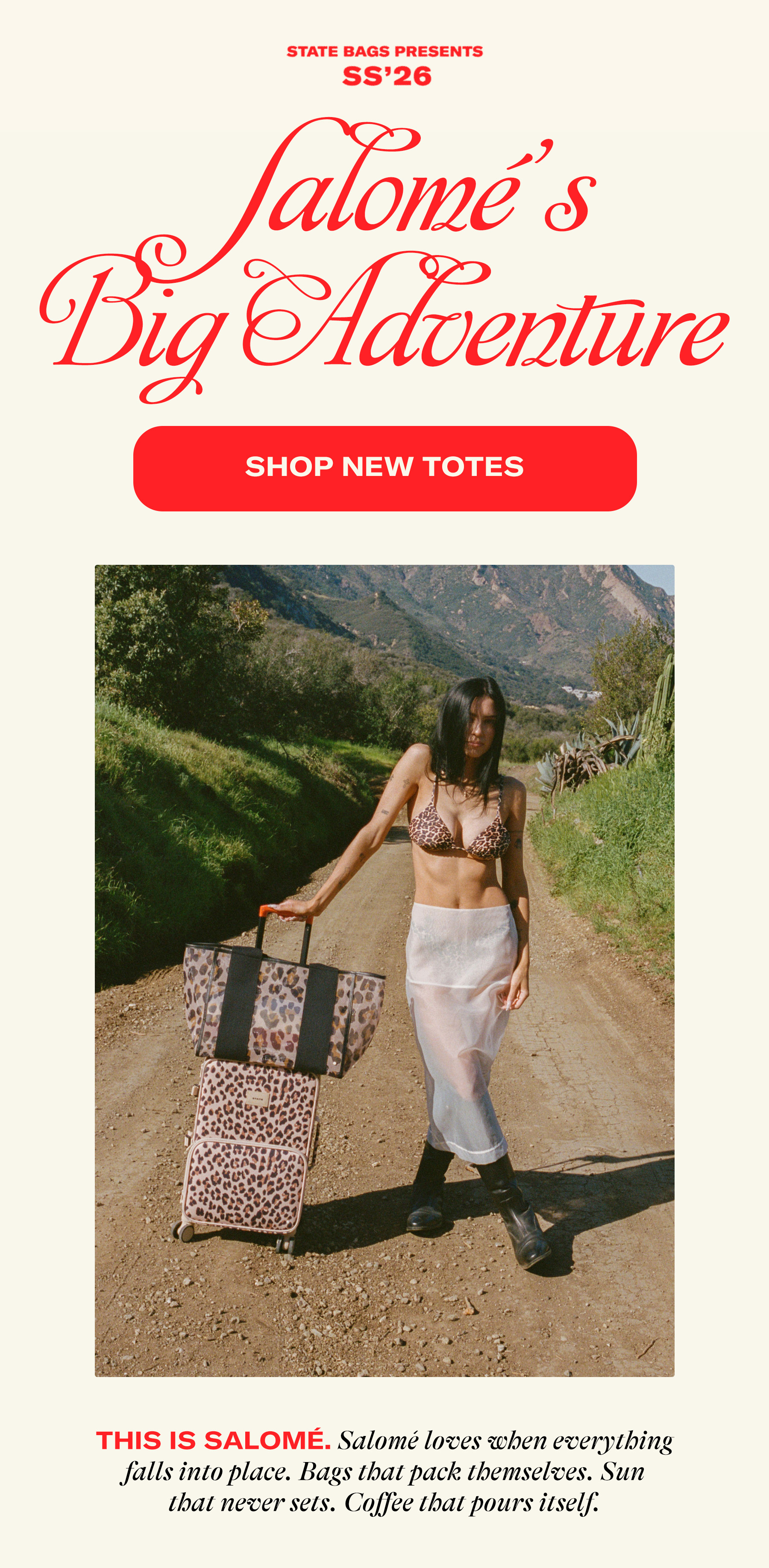 Shop New Totes