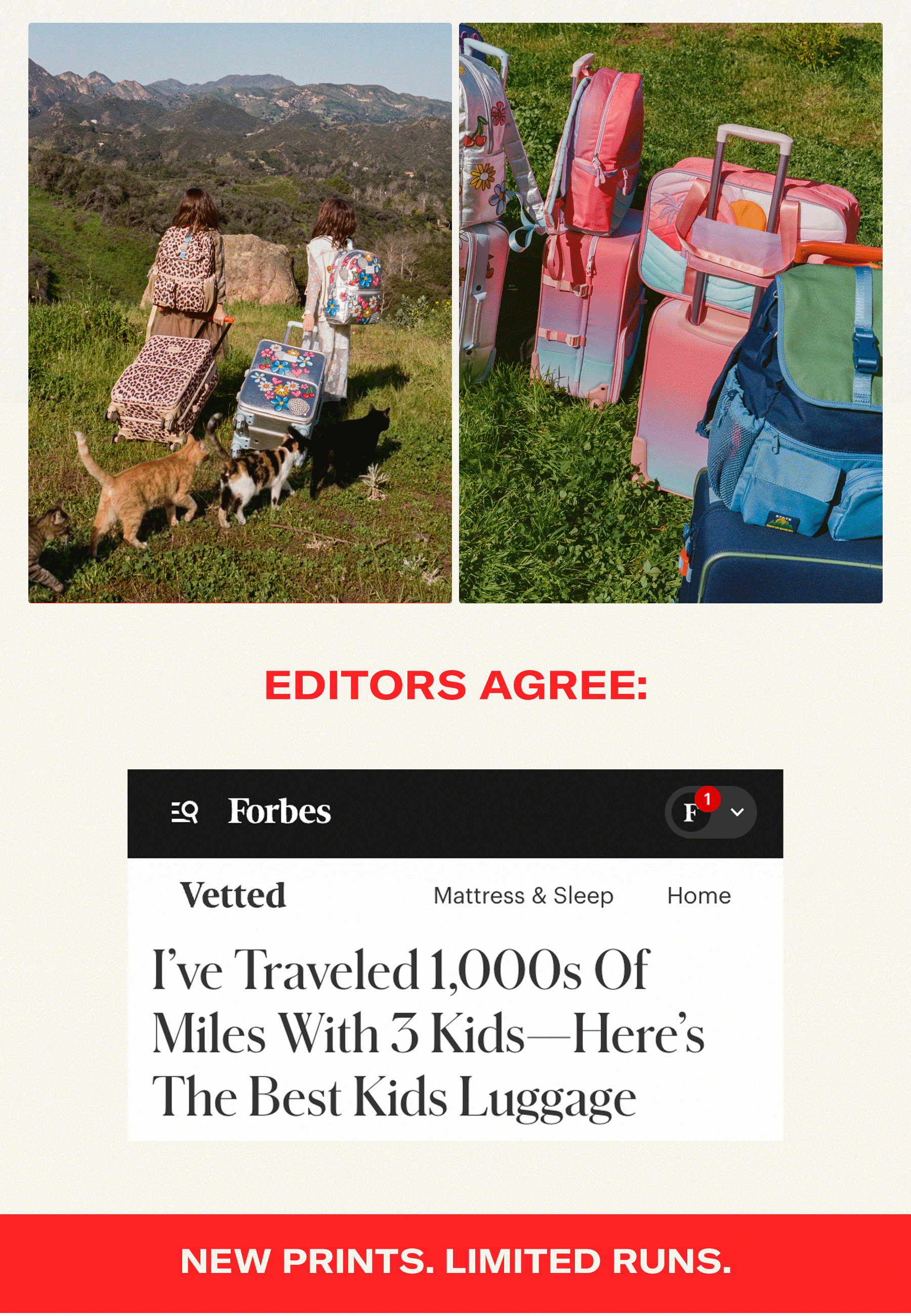 Editors agreed "The Best Kids Luggage"