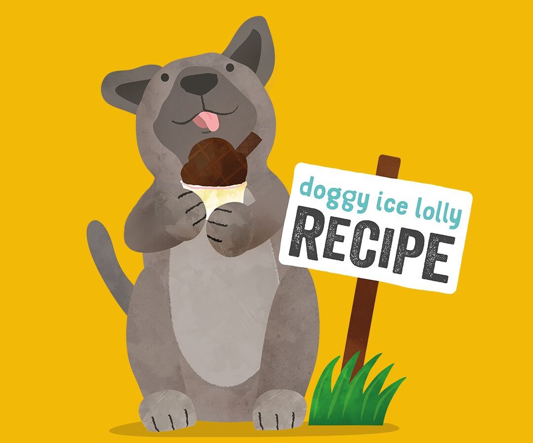 Cool down your dog in 5 minutes with our delicious ice creams! Edgard