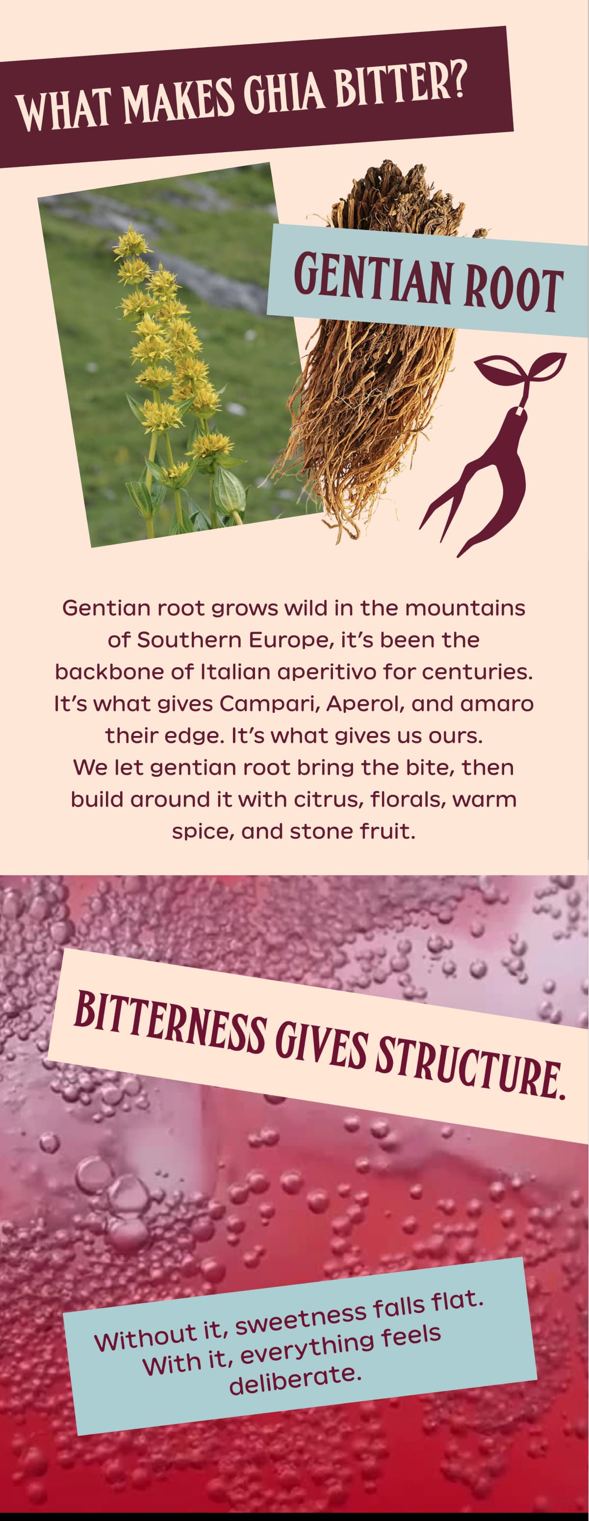 What Makes Ghia Bitter