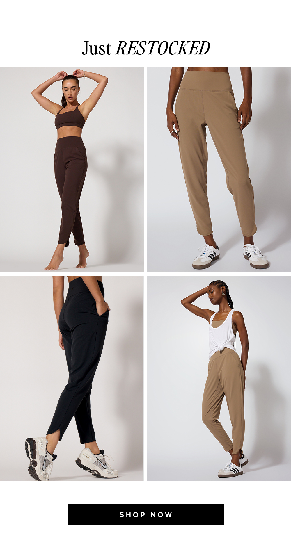Shop Now