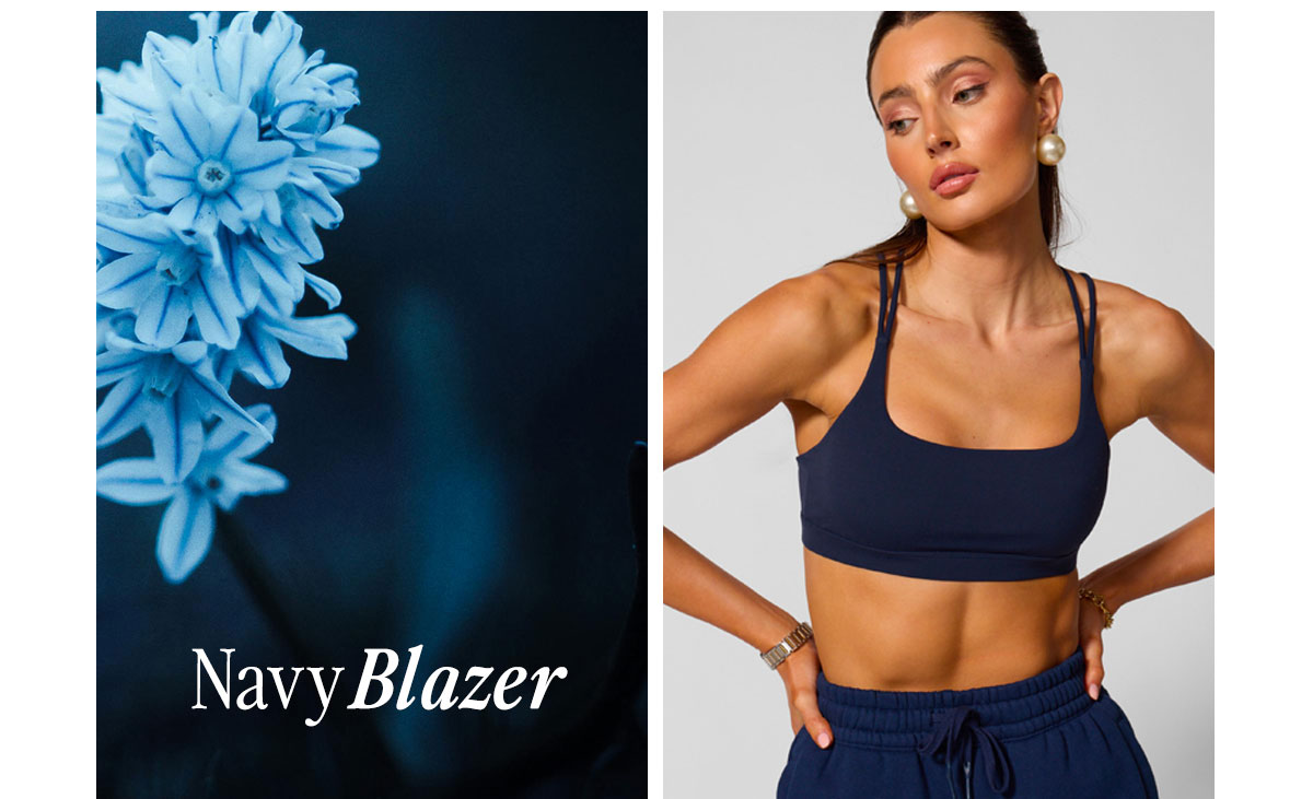 Navy Blazer