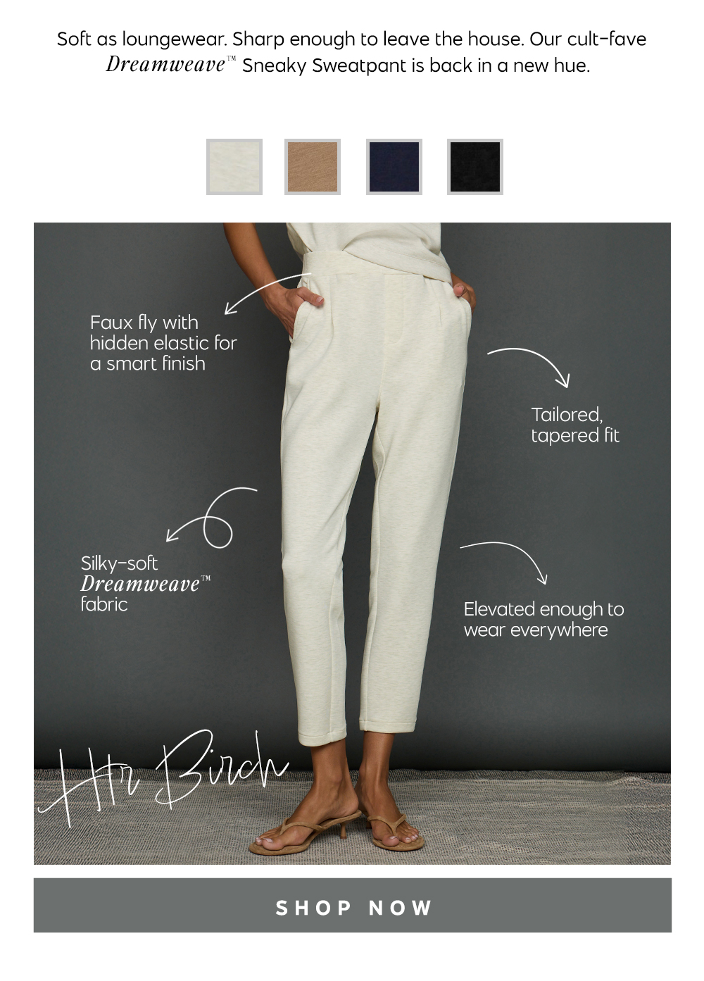 Shop Htr Birch