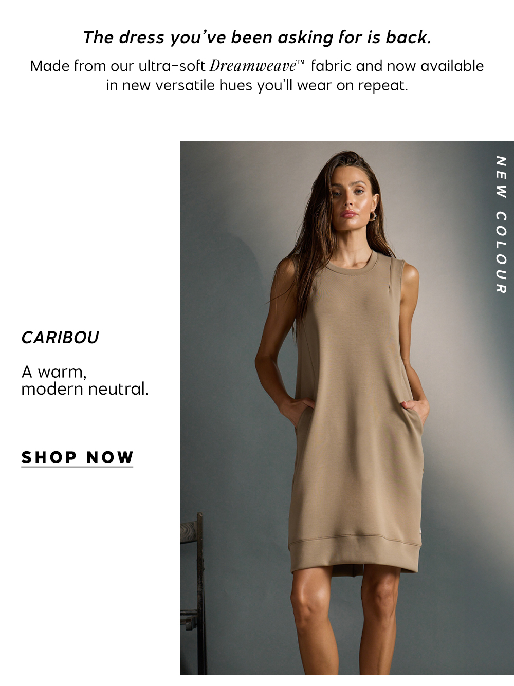 Shop Caribou Dreamweave Dress