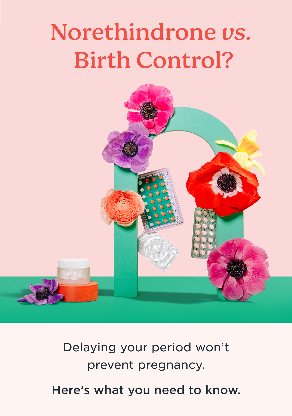 Norethindrone vs. Birth Control What's the difference? Wisp