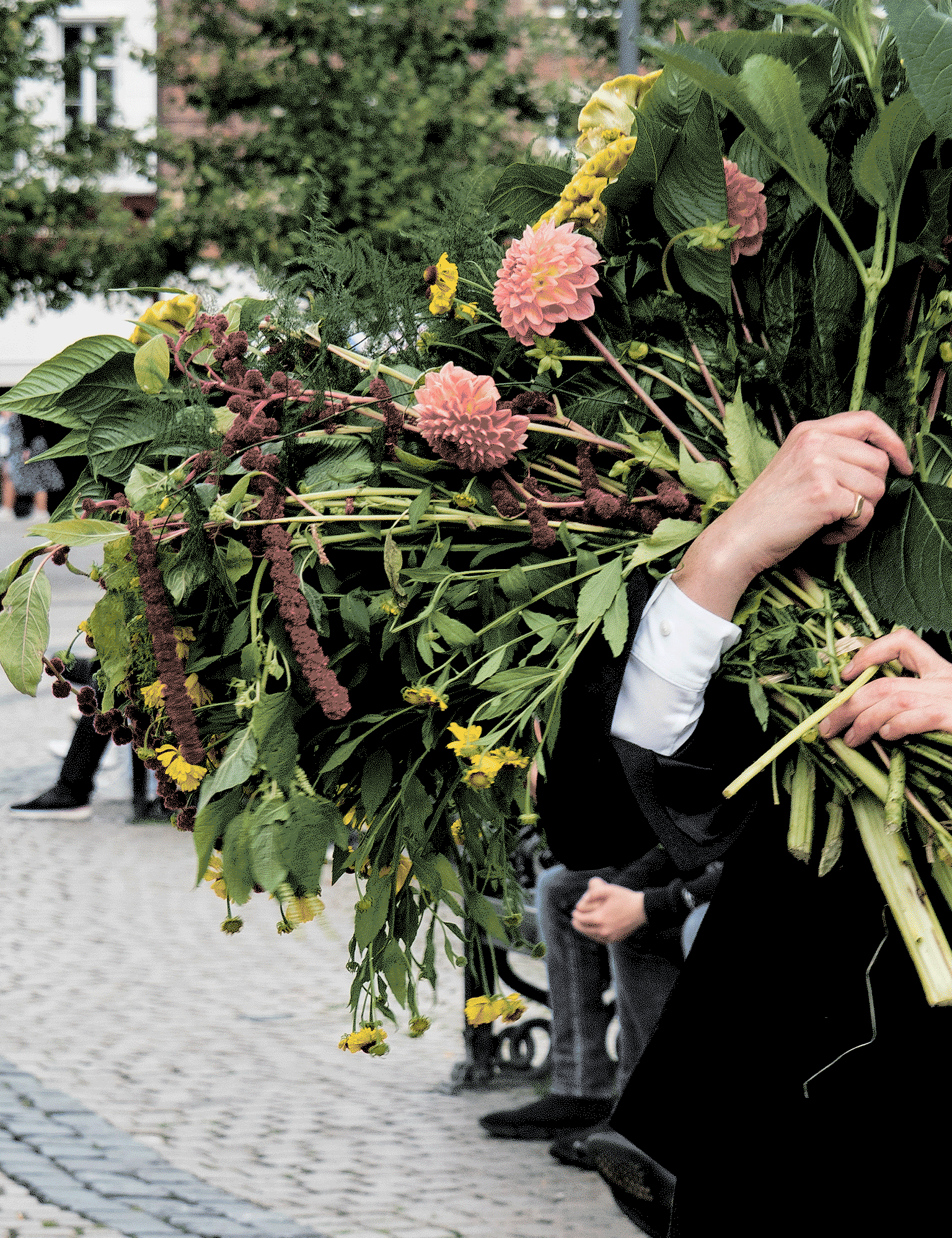 Molly Haslund Flowerdrop