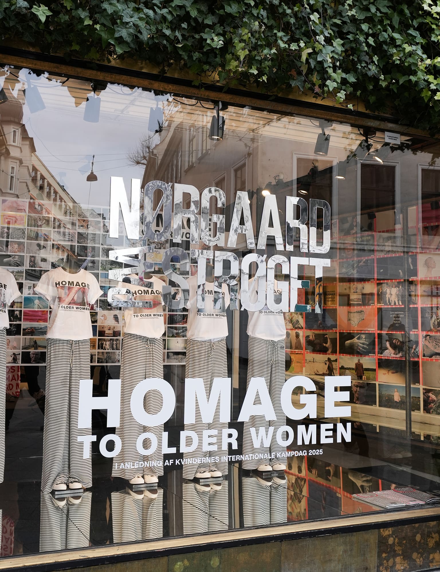 Homage to Older Women