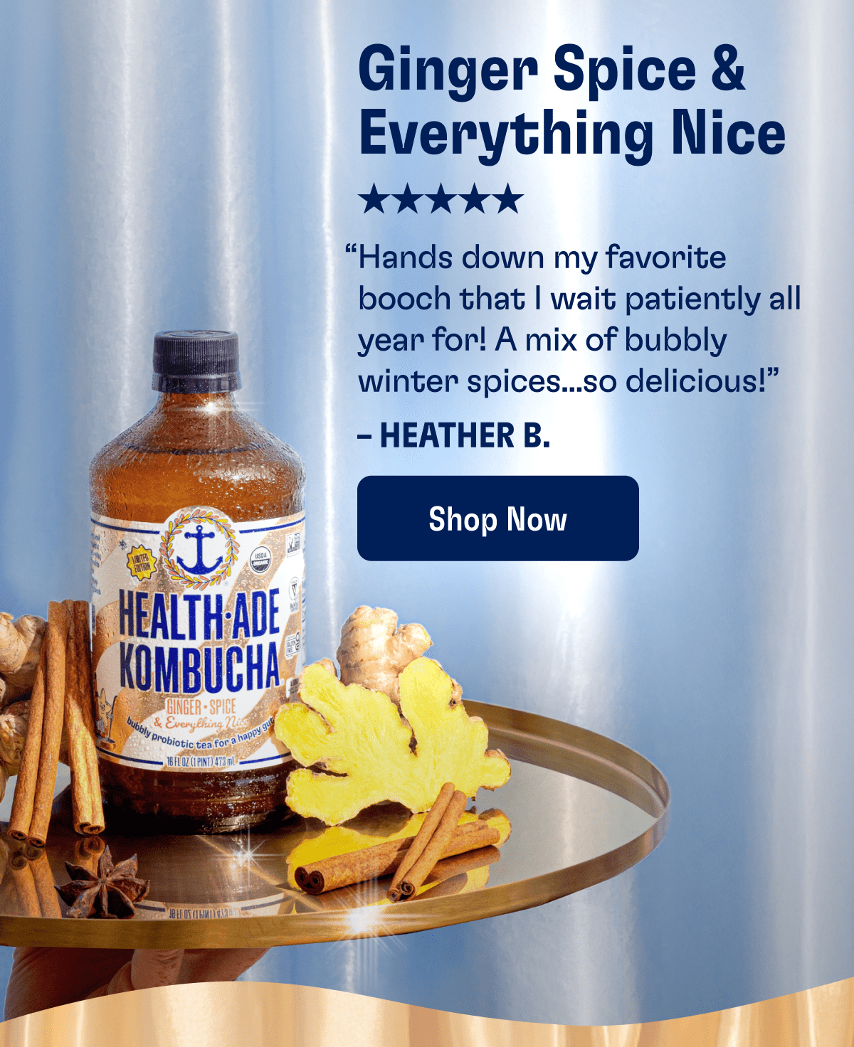 Ginger Spice & Everything Nice | "Hands down my favorite booch that I wait patiently all year for! A mix of bubbly winter spices... so delicious!" - Heather B. | Shop Now