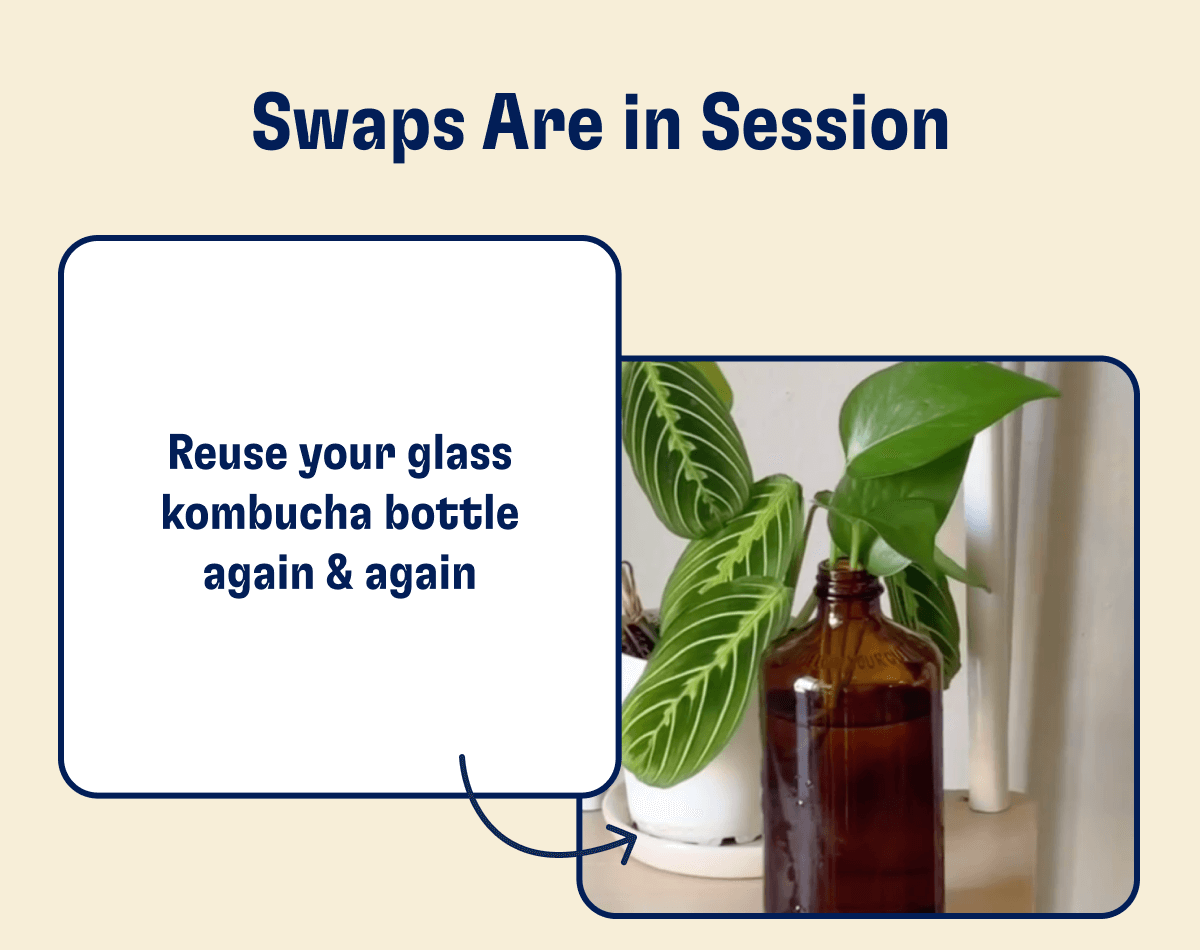 Swaps Are In Session - Reuse your glass kombucha bottle again & again