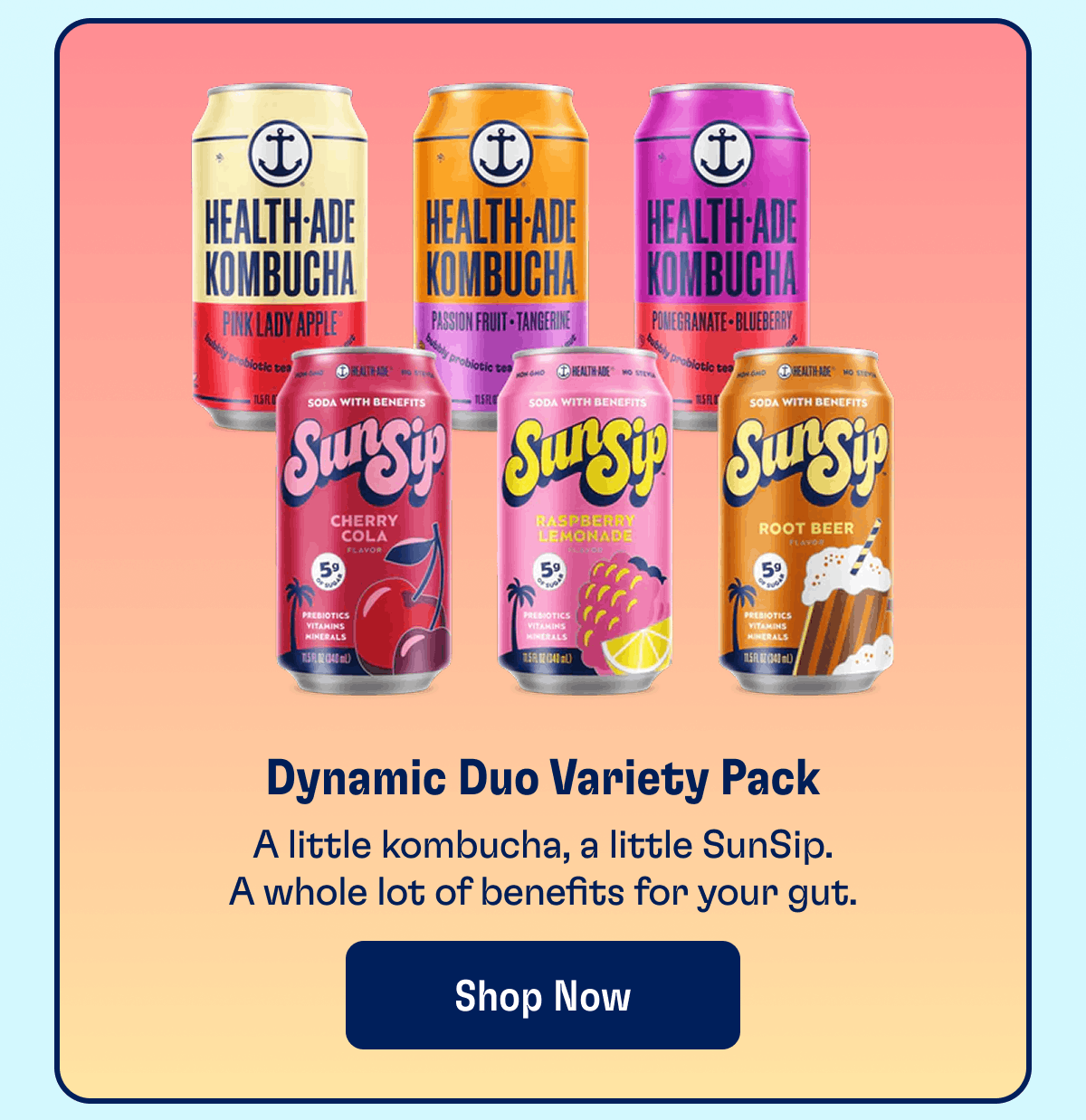 Dynamic Duo Variety Pack | A little kombucha, a little SunSip. A whole lot of benefits for your gut. | Shop Now