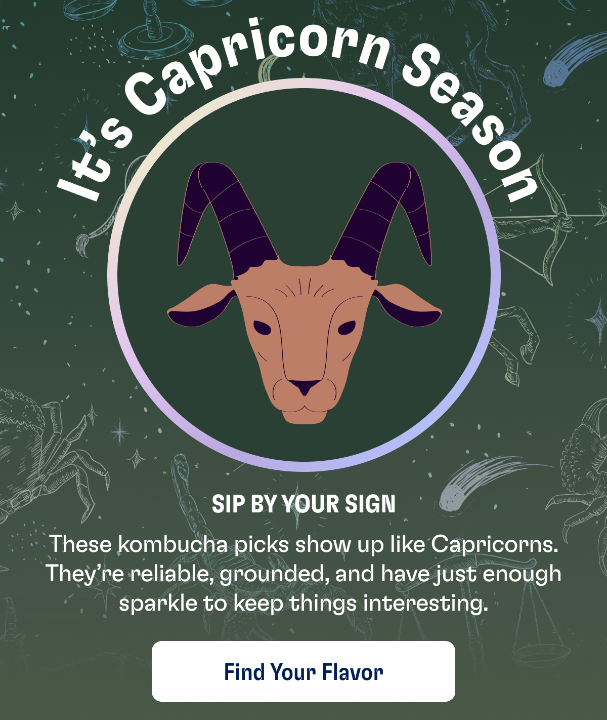 It's Capricorn Season | Sip by your sign | These kombucha picks show up like Capricorns. They're reliable, grounded, and have just enough sparkle to keep things interesting. | Find Your Flavor
