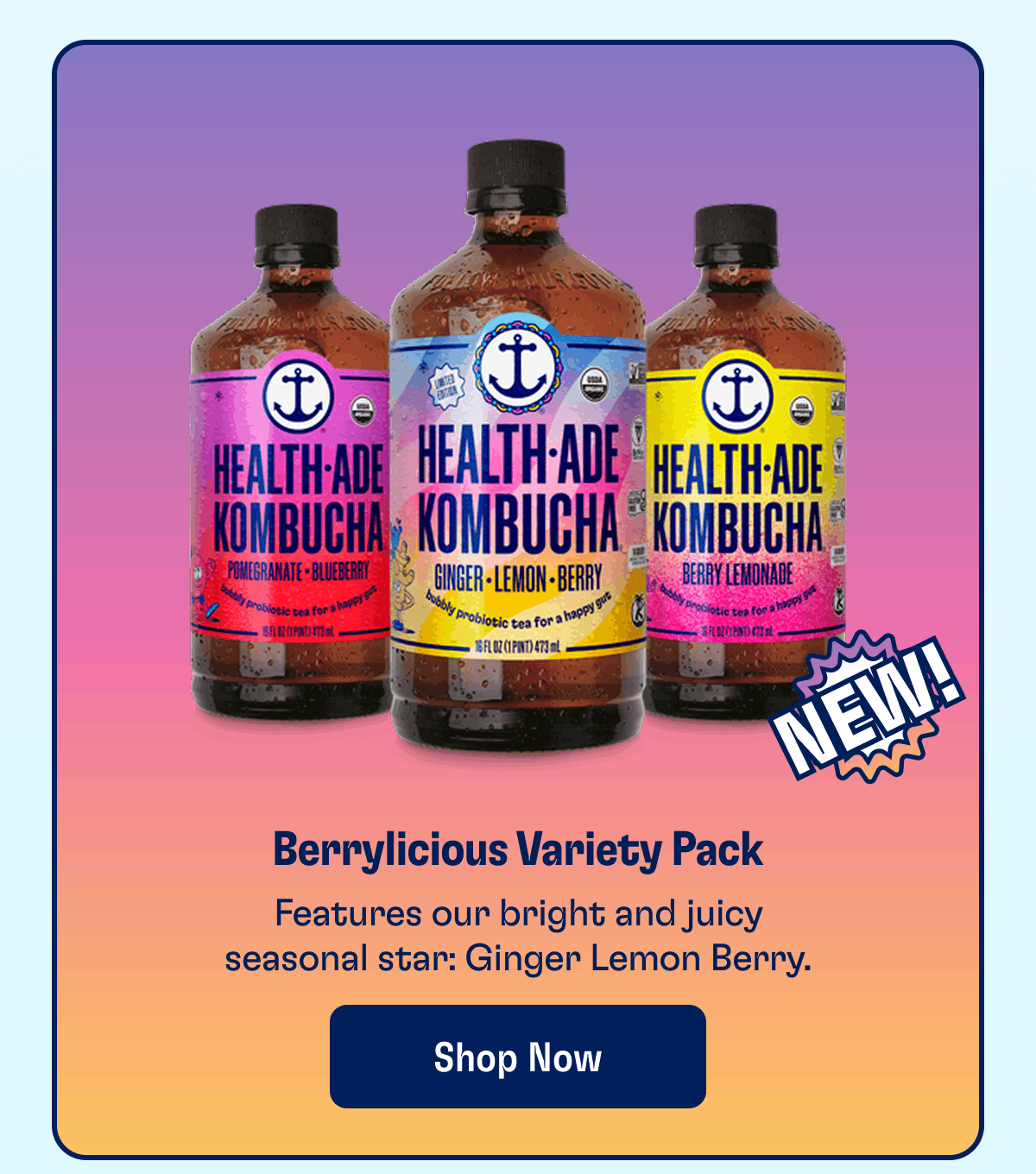 New! Berrylicious Variety Pack | Features our bright and juicy seasonal star: Ginger Lemon Berry. | Shop Now