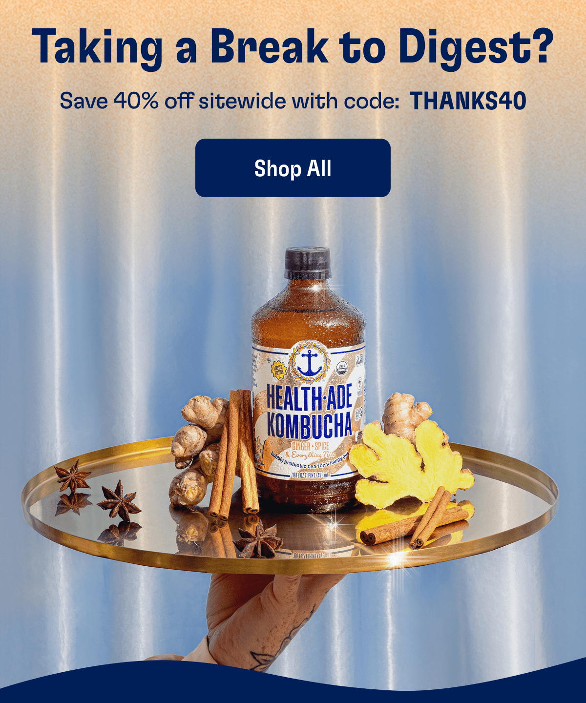 Taking a Break to Digest? | Save 40% off sitewide with code: THANKS40 | Shop All