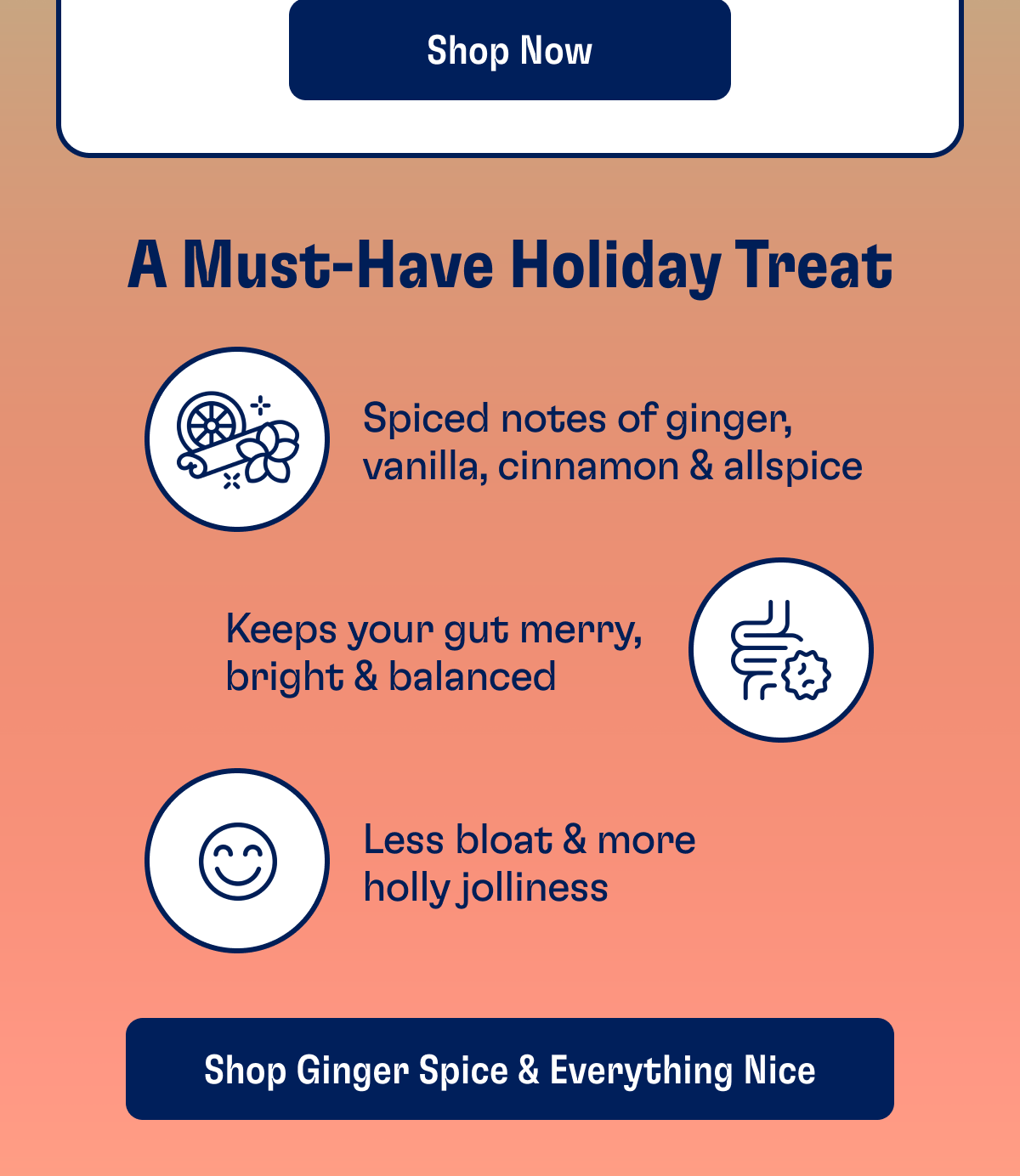 A Must-Have Holiday Treat | Spiced notes of ginger, vanilla, cinnamon & allspice | Keeps your gut merry, bright & balanced | Less bloat & more holly jolliness | SHOP GINGER SPICE & EVERYTHING NICE