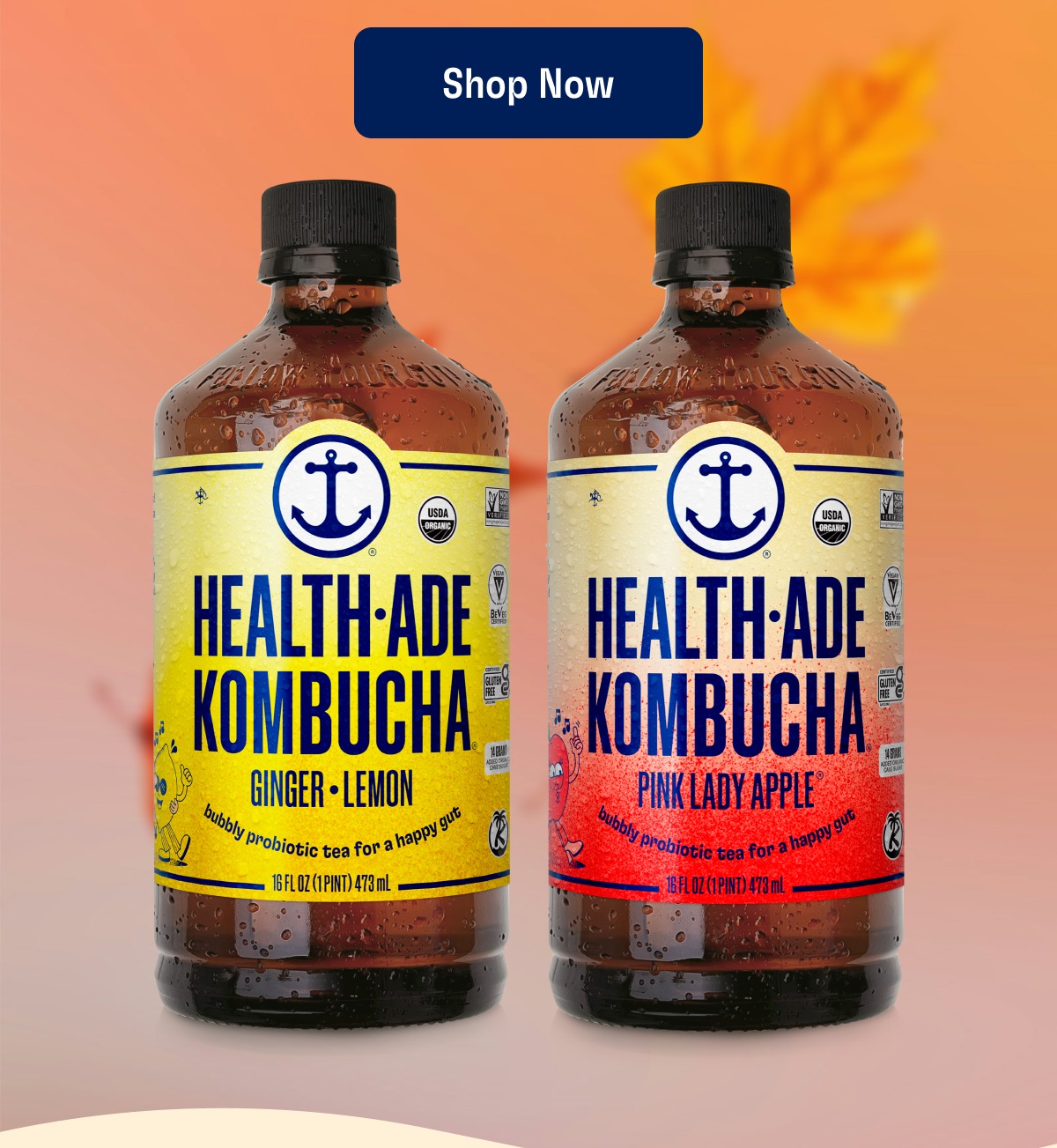 Shop Now