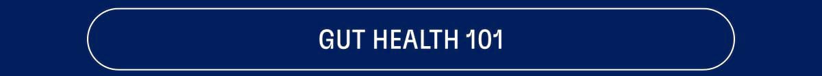 Gut health 101