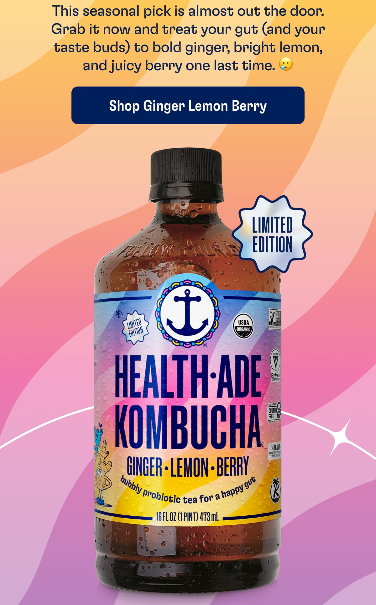 This seasonal pick is almost out the door. Grab it now and treat your gut (and your taste buds) to bold ginger, bright lemon, and juicy berry one last time. 🥲 Shop Ginger Lemon Berry