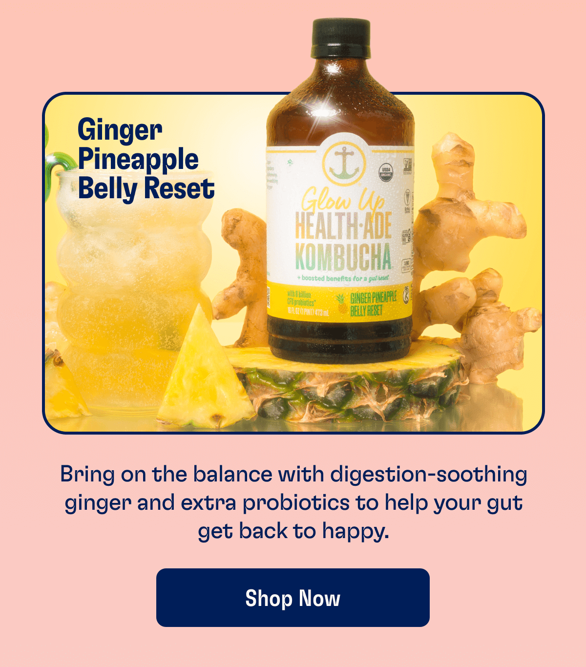 Ginger Pineapple Belly Reset - Bring on the balance with digestion-soothing ginger and extra probiotics to help your gut get back to happy. | Shop Now