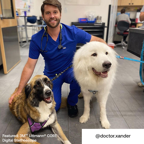 How Veterinarians Use Eko 🩺 Technology Eko Health