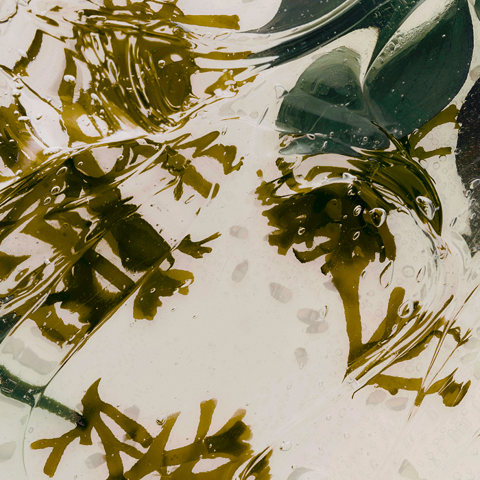 An image showing Tatcha's proprietary stress-barrier complex called Hadasei-3™