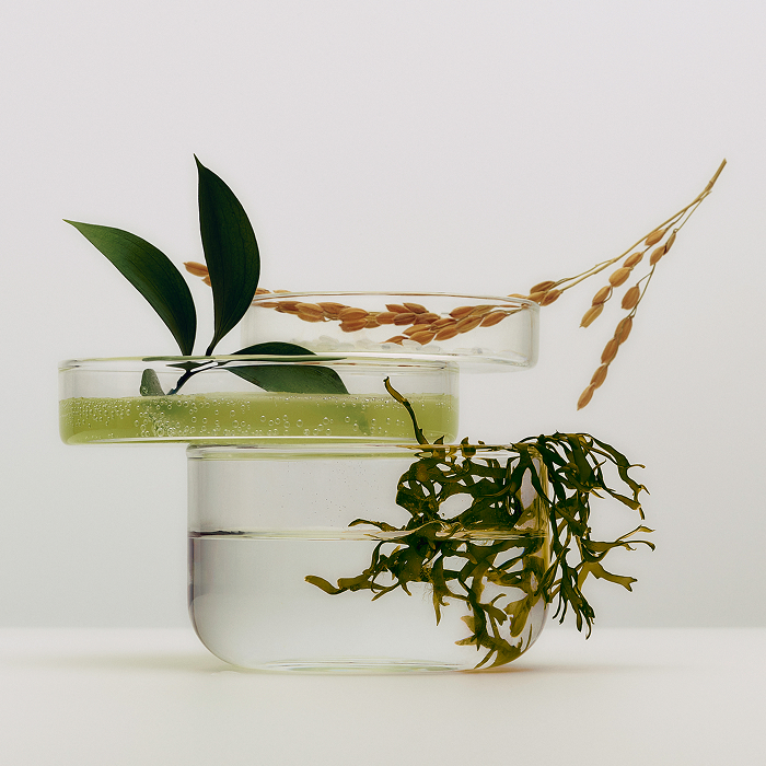 Hadasei-3: Tatcha's Proprietary Stress-Barrier Complex