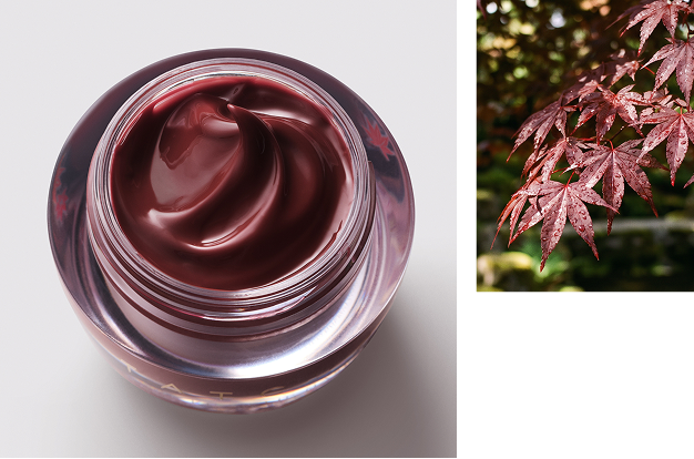 An image of The Kissu Lip Mask shown in Japanese maple red, and an image of its inspiration: Japanese maple leaves