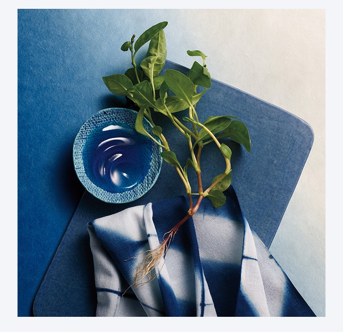 An image of indigo, a key Tatcha ingredient used in their skincare soothing collection. 