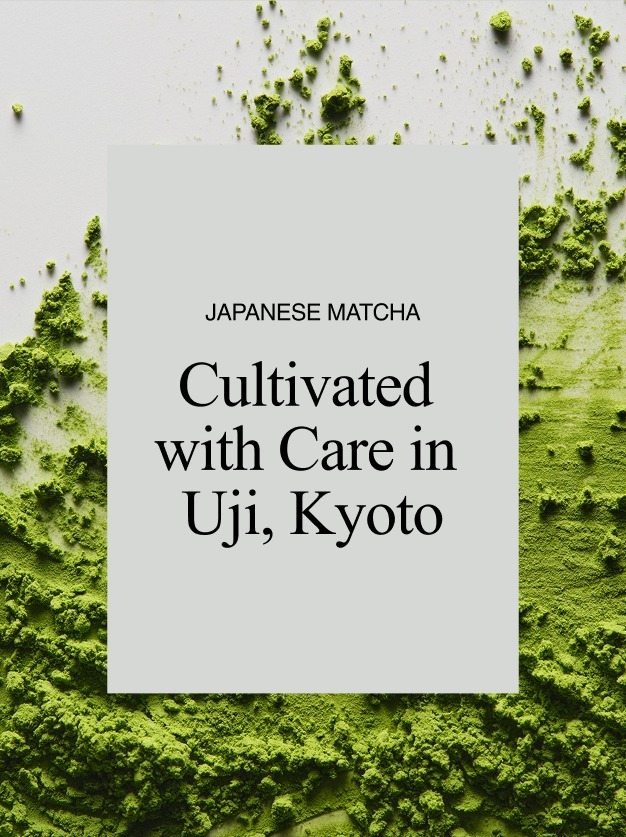 Japanese Matcha. Cultivated with Care in Uji, Kyoto