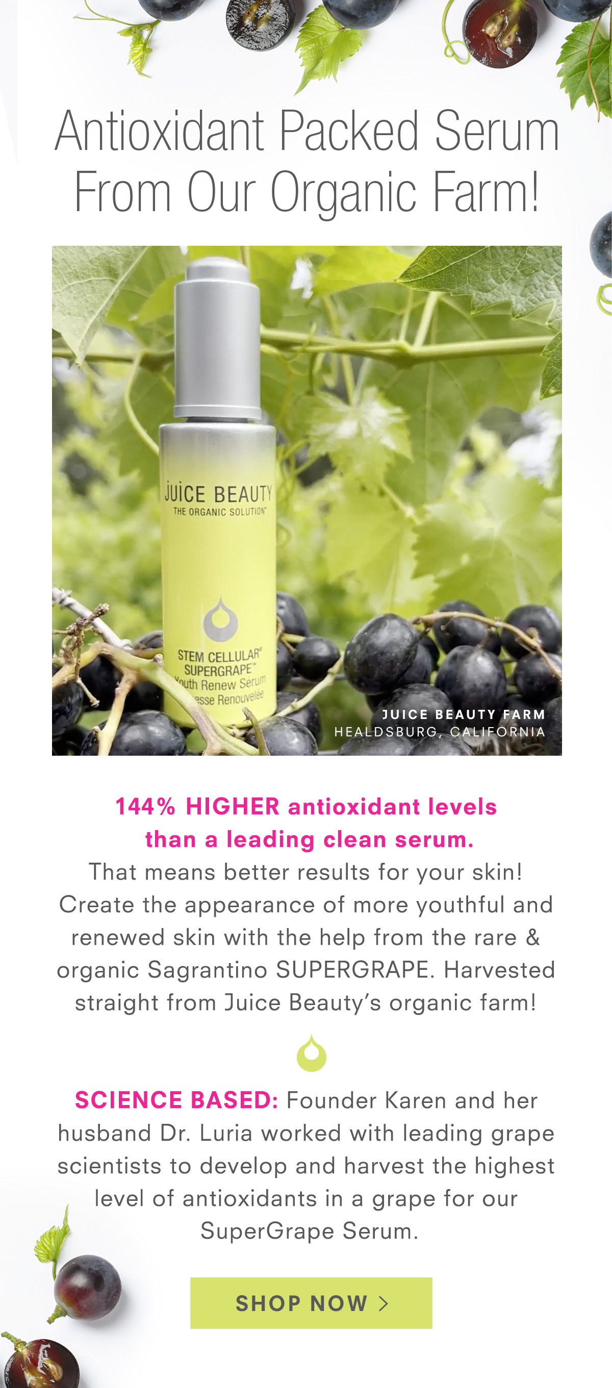 Antioxidant Packed Serum From Our Organic Farm! Shop STEM CELLULAR SuperGrape Youth Renew Serum with Hyaluronic Acid.