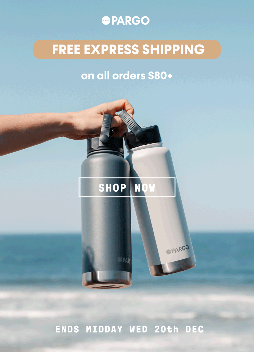 Free Express Shipping ⚡ Project Pargo