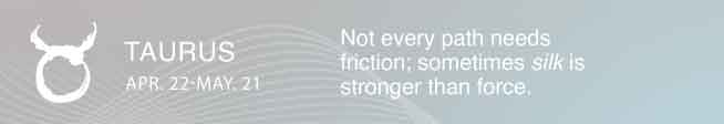 Not every path needs friction; sometimes silk is stronger than force.
