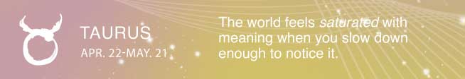 The world feels saturated with meaning when you slow down enough to notice it.