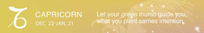Let your green thumb guide you; what you plant carries intention.