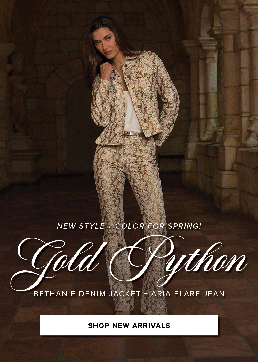 New Style and Color for Spring. Gold Python Bethanie Denim Jacket and Aria Flare Jean