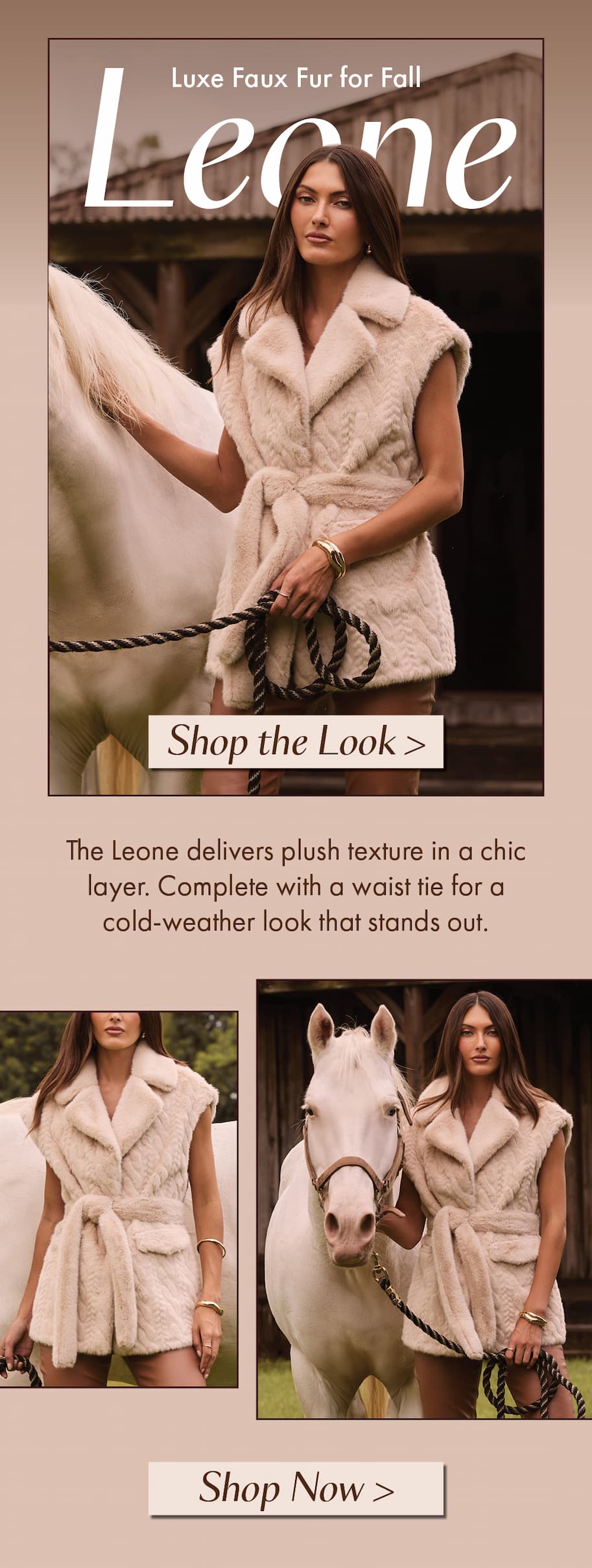 Luxe Faux Fur for Fall