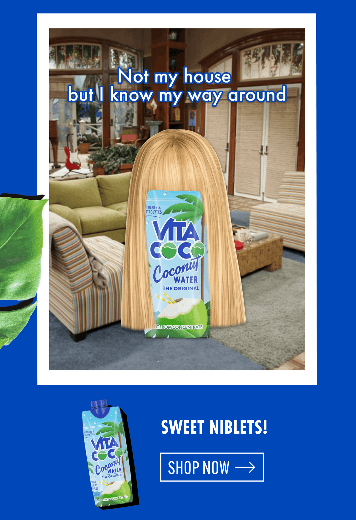 Not my house but I know my way around | Sweet niblets! | Shop now