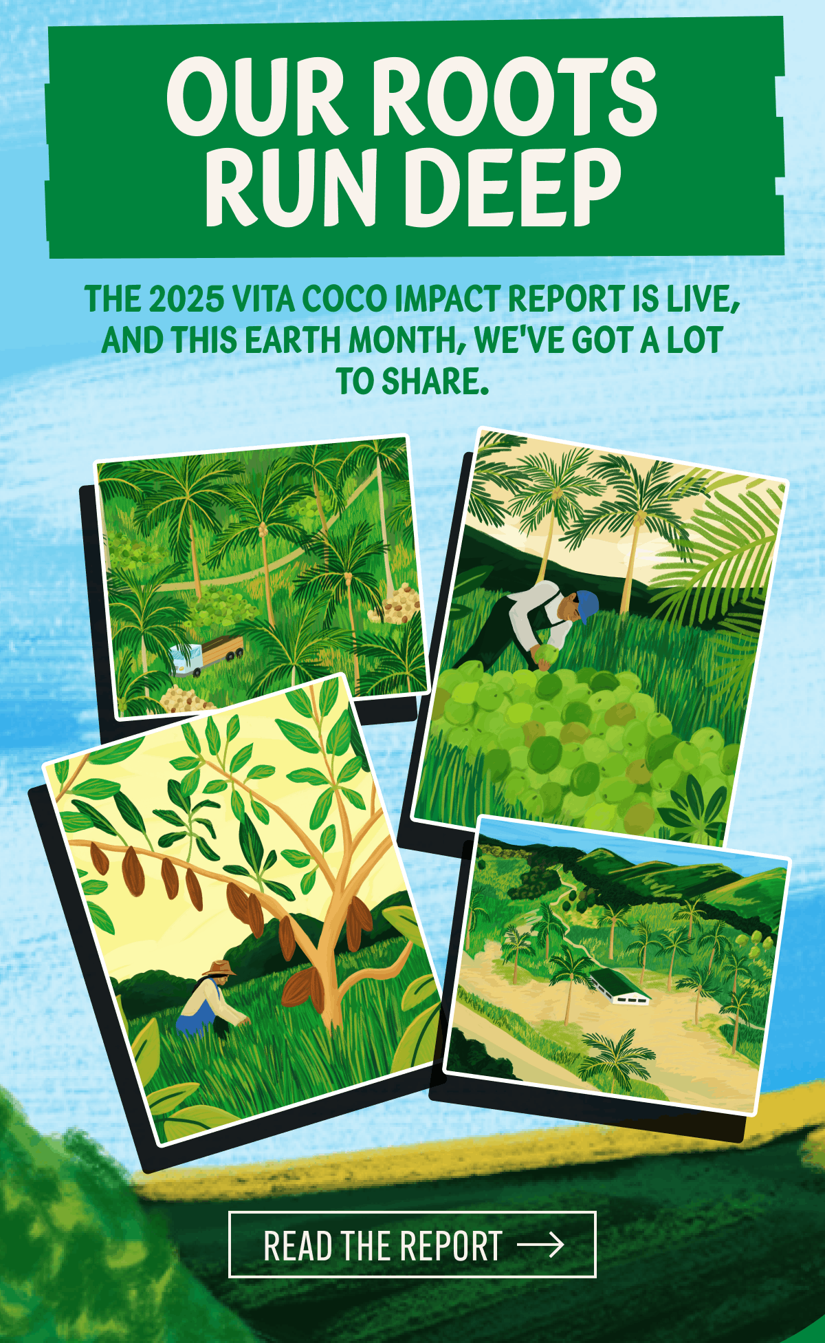 Our roots run deep | The 2025 Vita Coco Impact Report is live, and this Earth Month, we've got a lot to share. | Read the Report