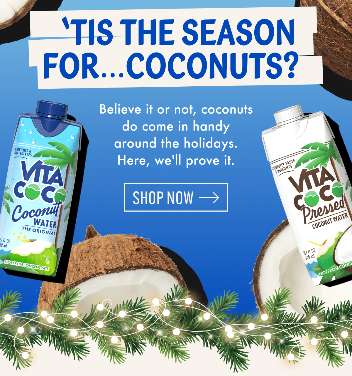  'Tis the season for...coconuts? | Believe it or not, coconuts do come in handy around the holidays. Here, we'll prove it. | Shop now