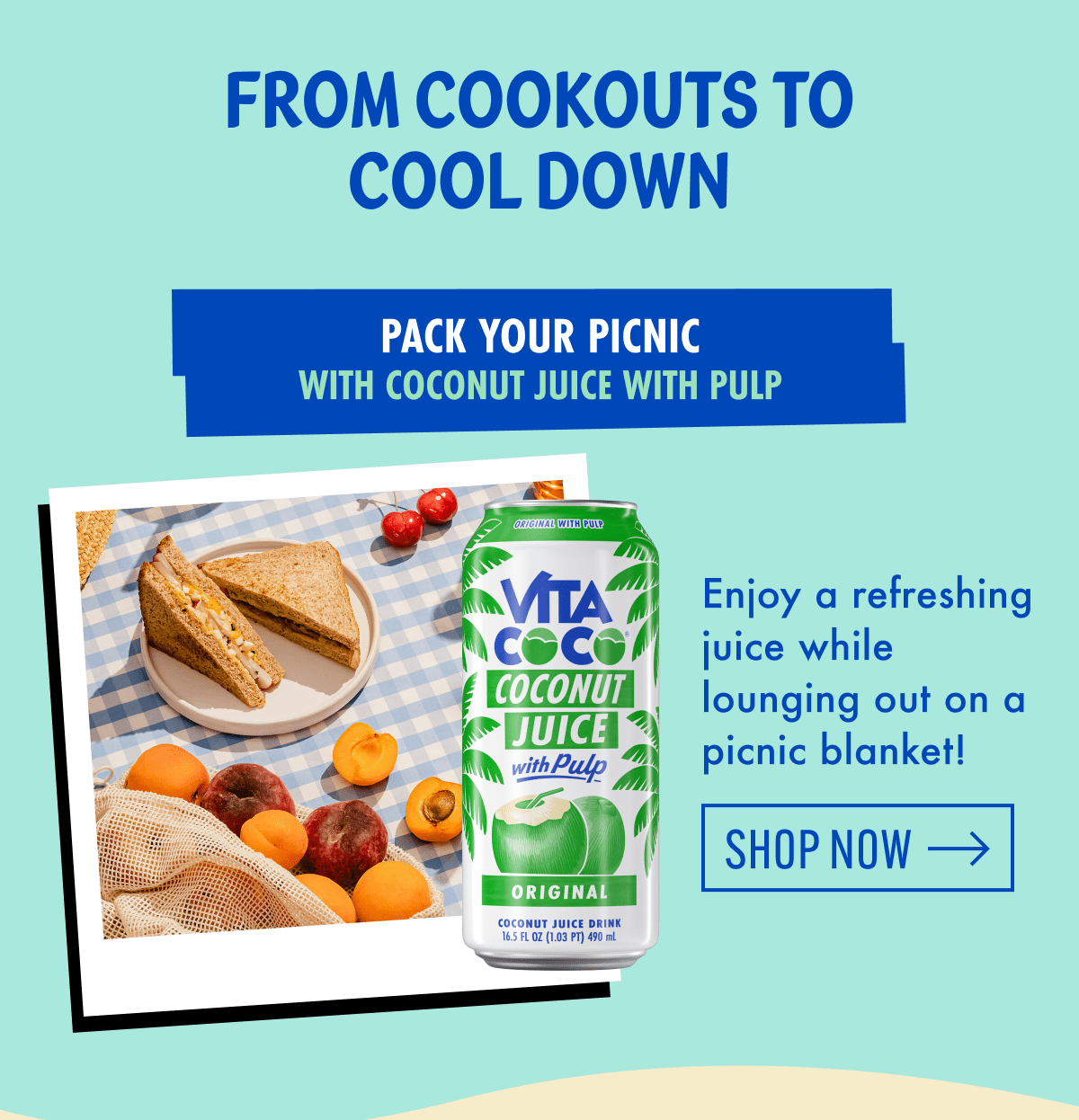 From cookouts to cool down | Pack your picnic with Coconut Juice With Pulp | Enjoy a refreshing juice while lounging out on a picnic blanket! | Shop now