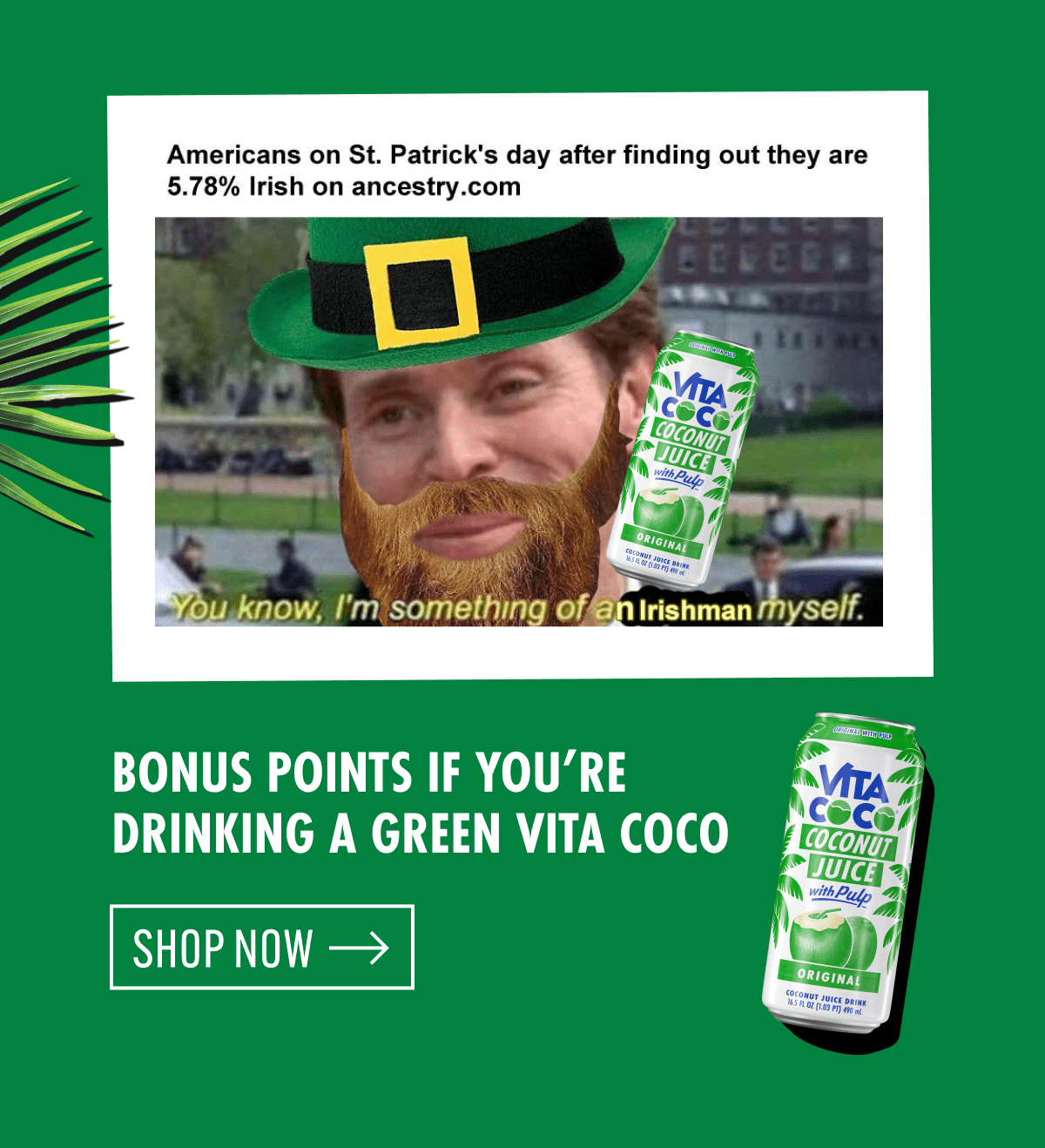 Bonus points if you're drinking a green Vita Coco | Shop now