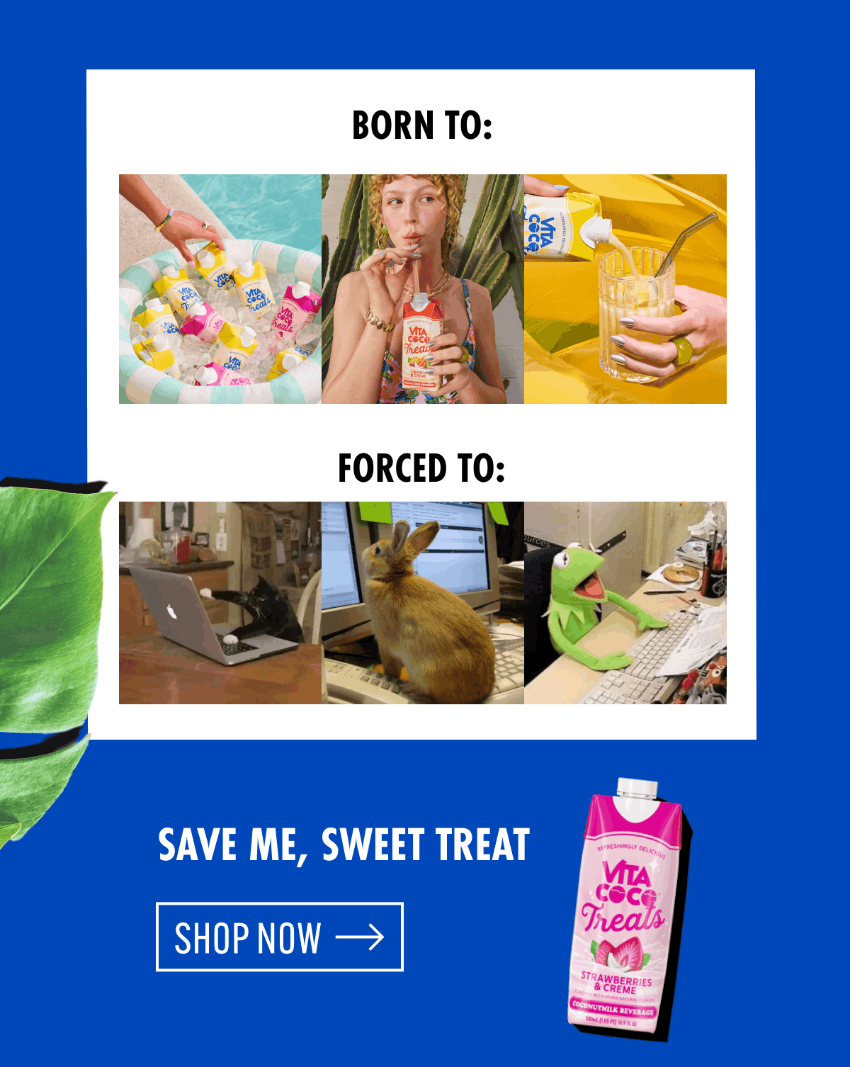 Save me, sweet treat | Shop now