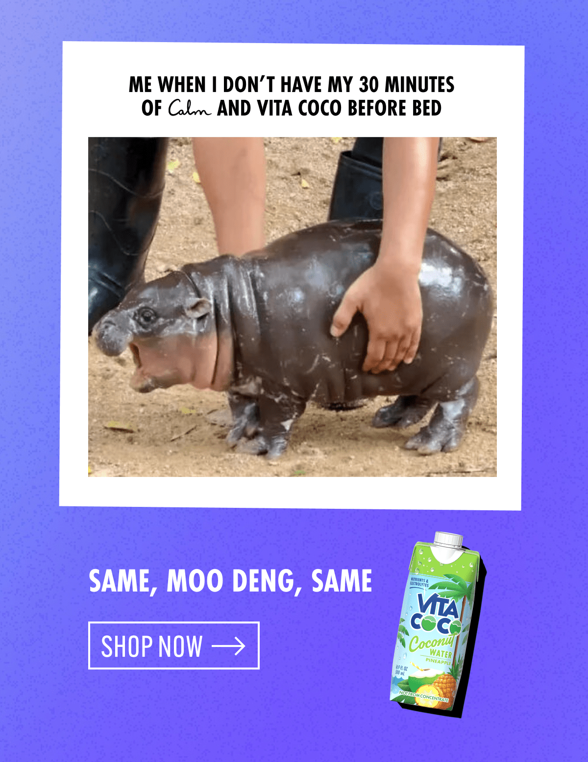 Same, moo deng, same | SHOP NOW