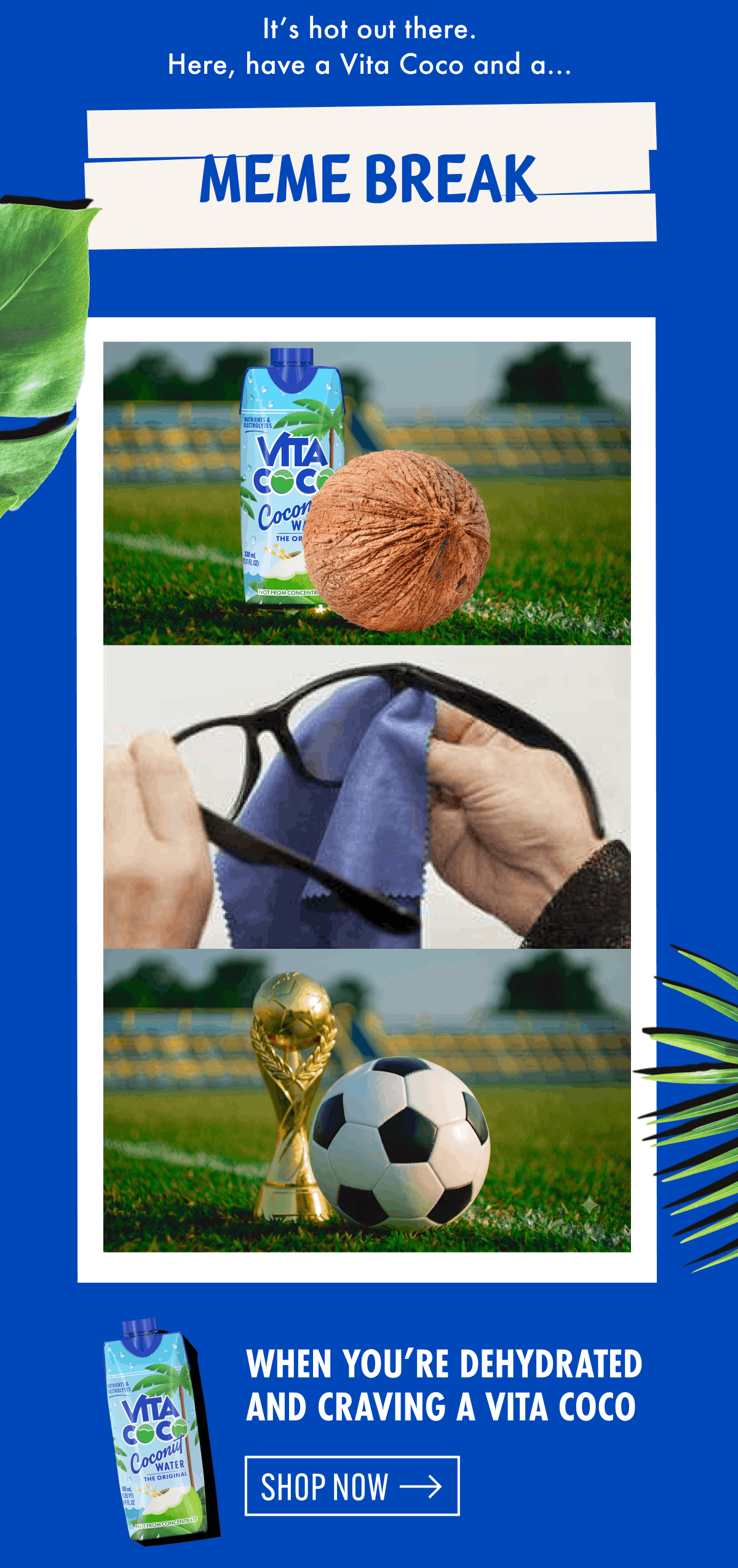 It's hot out there. Here, have a Vita Coco and a... Meme break | When you're dehydrated and craving a Vita Coco | Shop now