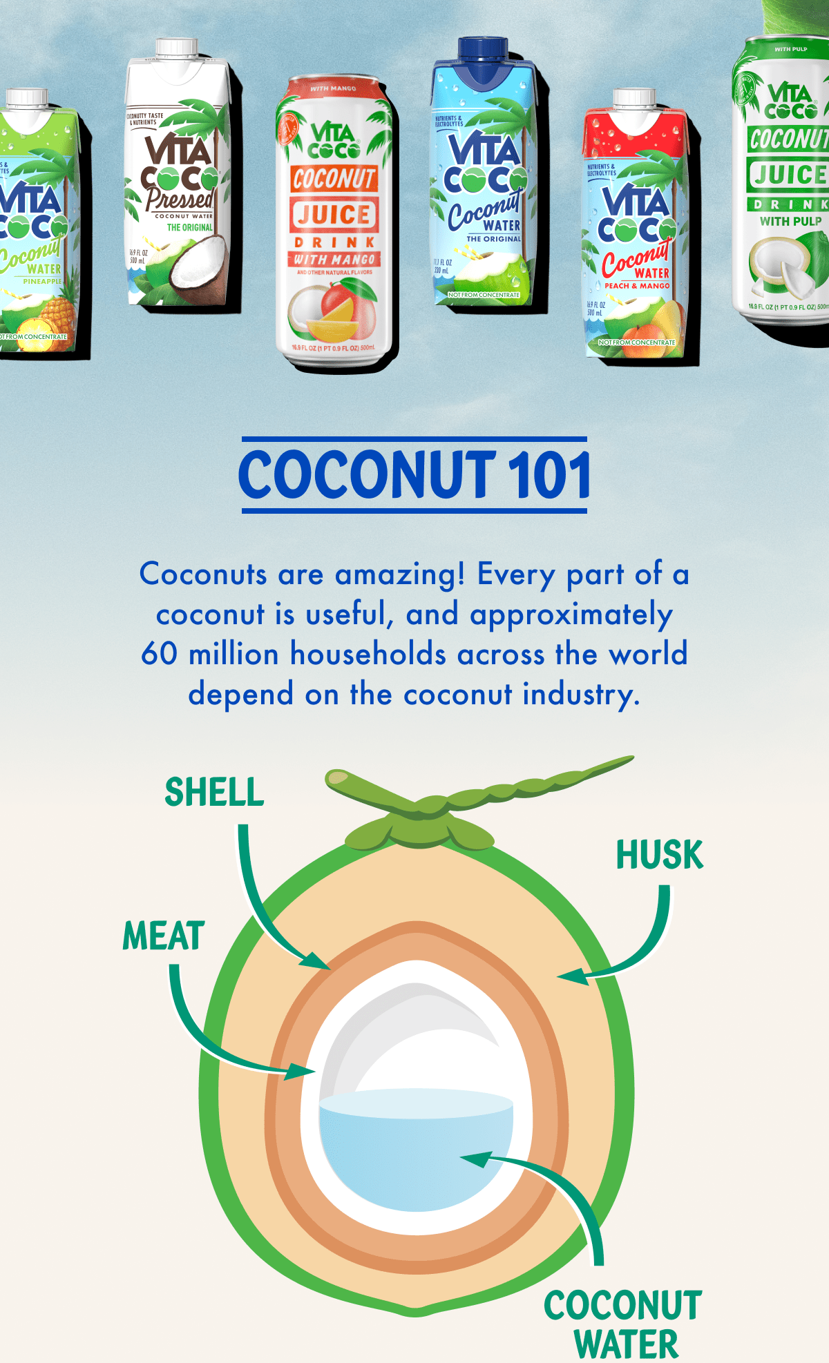 Coconut 101 | Coconuts are amazing! Every part of a coconut is useful, and approximately 60 million households across the world depend on the coconut industry. | Shell, Husk, Meat, Coconut Water