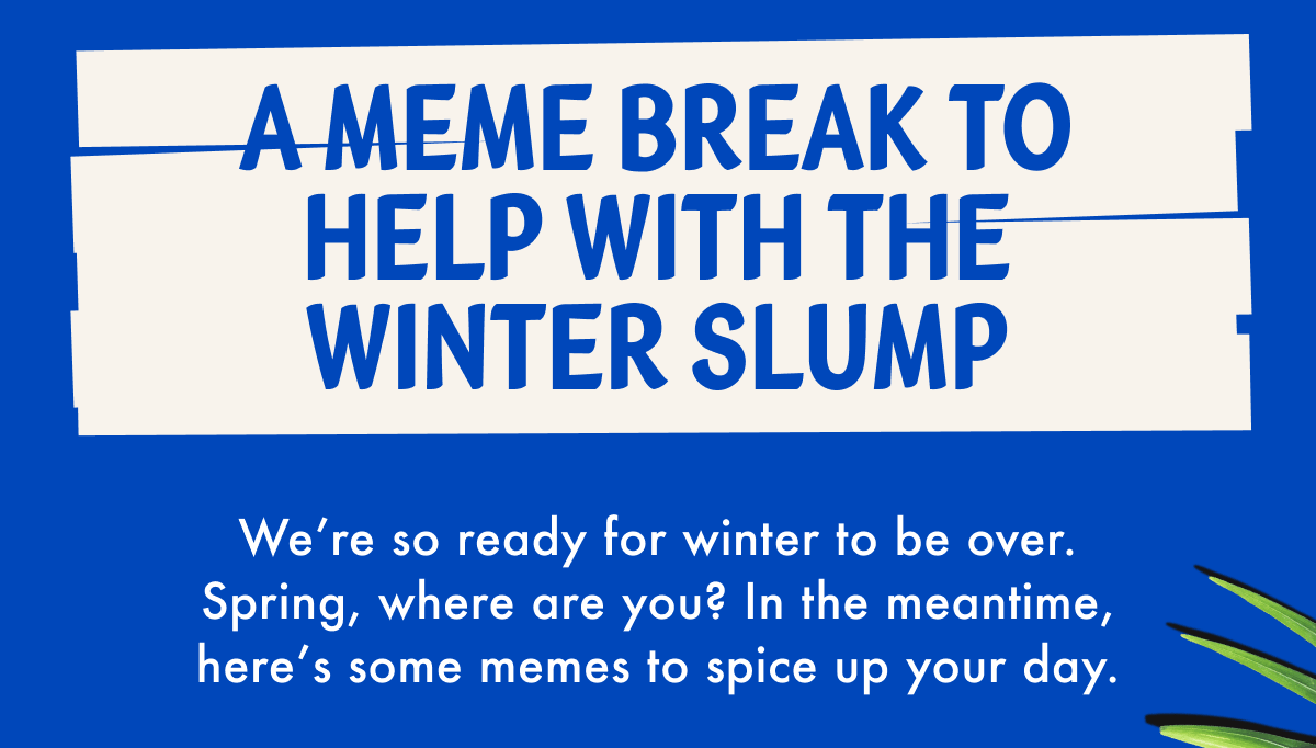 a meme break to help with the winter slump | We're so ready for winter to be over. Spring, where are you? In the meantime, here's some memes to spice up your day.